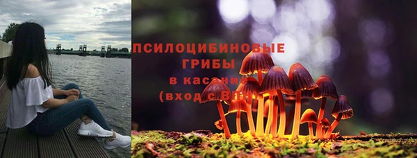 Альфа ПВП Уссурийск