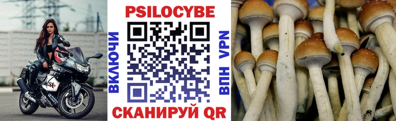 Галлюциногенные грибы ЛСД  купить наркотик  Ивантеевка 