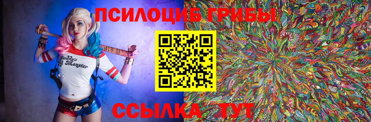 Псилоцибиновые грибы Cubensis  Вход с VPN  Ивантеевка 