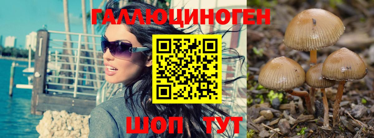 Псилоцибиновые грибы Psilocybine cubensis  цены наркотик  Ивантеевка  Псилоцибиновые грибы Magic Shrooms 